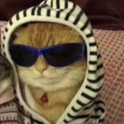 abdawg3's profile picture. feeling very menacing.