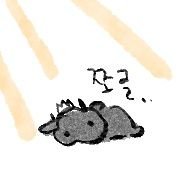 닝さんのプロフィール画像