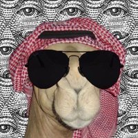 sick (@sickbratan) 's Twitter Profile Photo