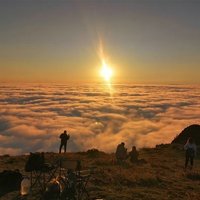 Dr. Abdullah Al Hosni (@abdullahoman_uq) 's Twitter Profile