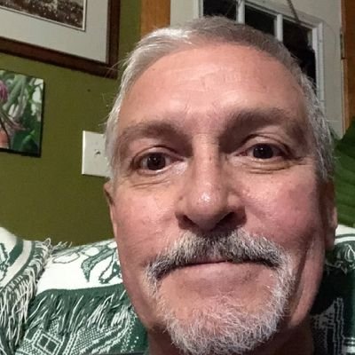 DavidMesler1's profile picture. Creative socially conscious