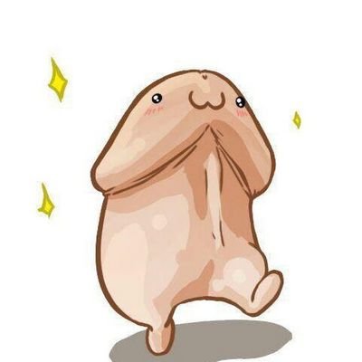 ampli741's profile picture. 