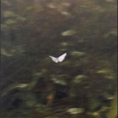 emovibes3's profile picture. 