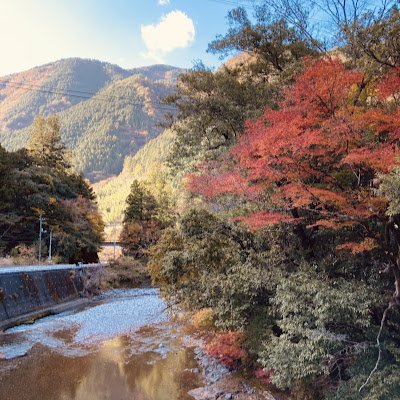 釣りと筋トレ🏋️ 宮古・伊良部島をメインに釣りしてます🎣