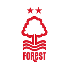 DarrenLanyon5's profile picture. spend my days producing works of art, spend my evenings sitting in my garden talking to the bushes