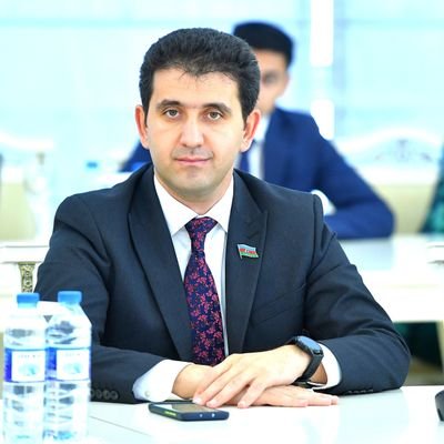Member of the Milli Majlis of the Republic of Azerbaijan. Member of the Committee on Human Rights  and the Committee for Natural Resources, Energy and Ecology.