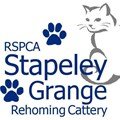 Twitter account dedicated to the cats we have in our cattery. We have lots of cats & kittens looking for loving homes. #cats #kittens #rspca #cheshire