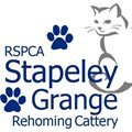 RSPCA Stapeley Cats(@StapeleyCats) 's Twitter Profile Photo