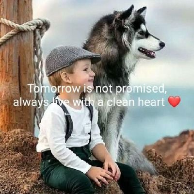 Lexygamechanger's profile picture. Very intelligent