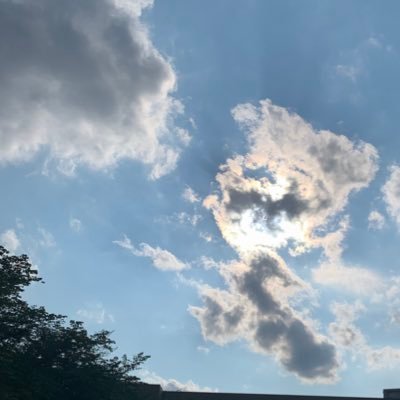 れいじさんのプロフィール画像