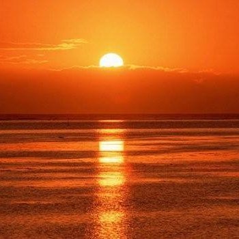 RNkickboxer1431's profile picture. Administration & Technical Consultant - Economist
Int. Coach & Referee (Martial Arts)- Doctorate Degree