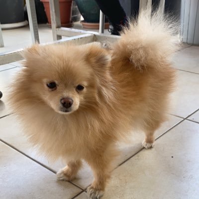 yormabeguzelimm's profile picture. 