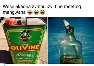 HoveTavona's profile picture. 