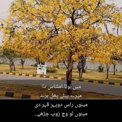@IslamicProud