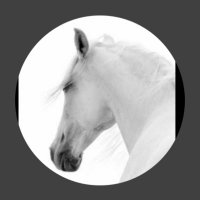 The Sex Coach (Last account suspended at 14K) (@elitewhitedick2) 's Twitter Profile Photo