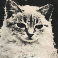 ChriŞŤufer (@crispdj) 's Twitter Profile