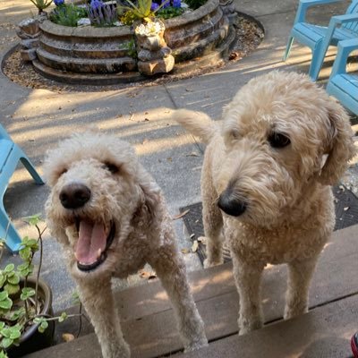 RatnerTpf's profile picture. Keepin’ my head above water…