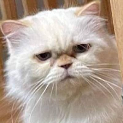 สลิ่มฟาตุยอีกรอบ☃️| | |さんのプロフィール画像