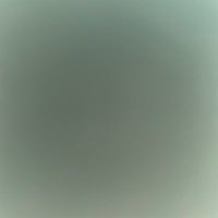 slave (@piggypaypig) 's Twitter Profile
