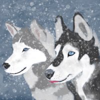 AlgoZoo (@zooalgo) 's Twitter Profile
