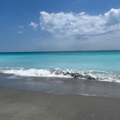 MaggieTrades10's profile picture. 