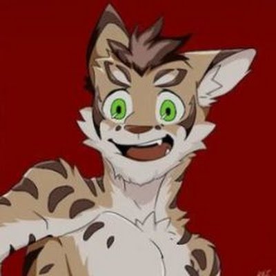 FurriesPunch's profile picture. stfu