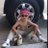 placzdzieckoo's profile image