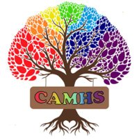 Black Country CAMHS(@CAMHS_BCHFT) 's Twitter Profile Photo