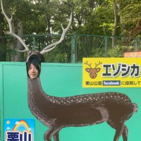 江村修平 (@shuhei0223) Twitter profile photo