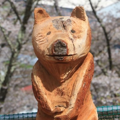 hiroucchie's profile picture. 洋楽ロックとミステリー小説と洋画をこよなく愛する、ソロキャンプにも夢中なスキーヤーのひとり言。大好きな音楽を聴きながら愛車で出かけて、 キヤノンのデジタル一眼レフで写真撮影を楽しんでいます🤘🏻