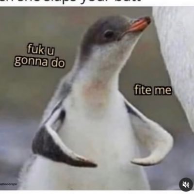 czyToKr0k0dyl's profile picture. serfuje