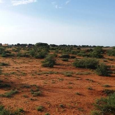 Warsame73057339's profile picture. Politician and Economist and Independent Lawyer.