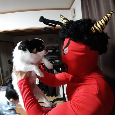 tomoomi1106's profile picture. 