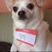 ๆฝ่กๆจ็ (@m00ndoggo) Twitter profile photo ๆฝ่กๆจ็ (@m00ndoggo) Twitter profile photo