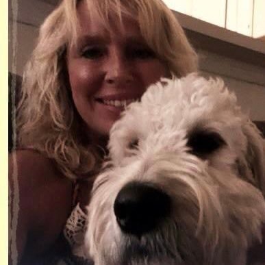 Lisa33781241's profile picture. 