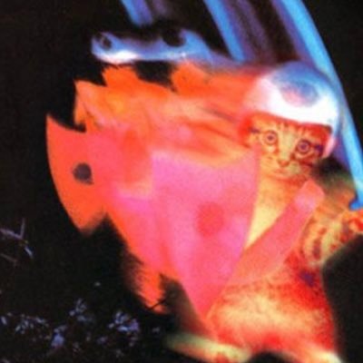 enddd08's profile picture. ❤️