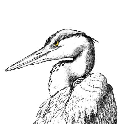 qqchpc's profile picture. Après moult réflexion, à la recherche de la bonne description. Je pense que je vais mettre ça