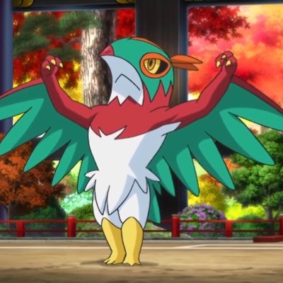 hawlucha47 Profile Picture