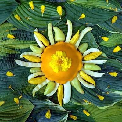 ArtofMichaelino's profile picture. Studio Michaelino
137 East Ave Suite 203
Rochester, New York 14604