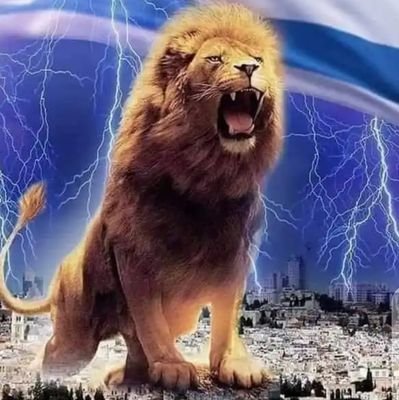 Nyameyie8's profile picture. 