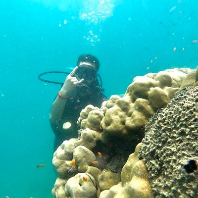 tahtuxguy's profile picture. is this the real life?