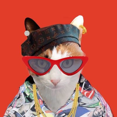 TooCool Dolander ✨ Profile