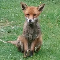 Matt Jenkins 🐀 (@matt_1269501) 's Twitter Profile Photo Matt Jenkins 🐀 (@matt_1269501) 's Twitter Profile Photo