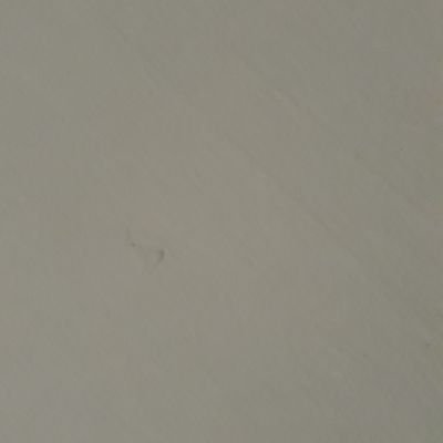 acarisa009's profile picture. Yok