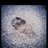 max_frid's profile image