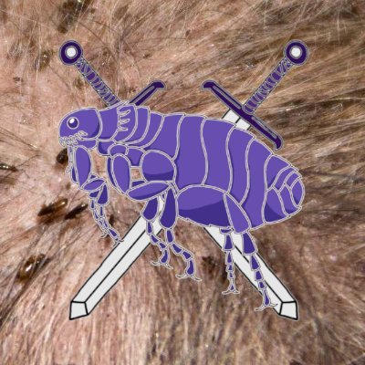 ksufleateam's profile picture. 