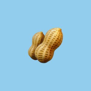 elon_nuts's profile picture. Silicon Valley’s favorite ride 🚀🏇