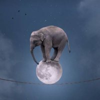Tony Bellerose (@tonybellerose) 's Twitter Profile