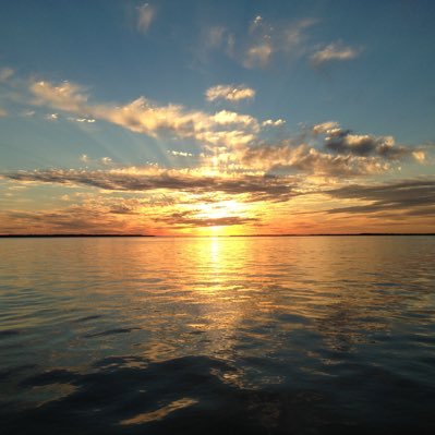 BrunnoLop2's profile picture. Brasileiro