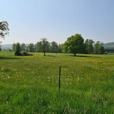 Marcel_d_h's profile picture. 